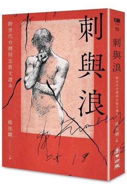 楊佳嫻《刺與浪：跨世代台灣同志散文讀本》